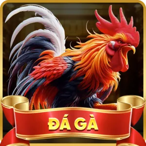 Chuyển khoản ngân hàng