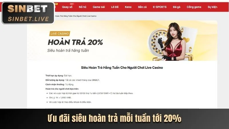 Cập Nhật Các Chương Trình Khuyến Mãi Hấp Dẫn Nhất Tại C54